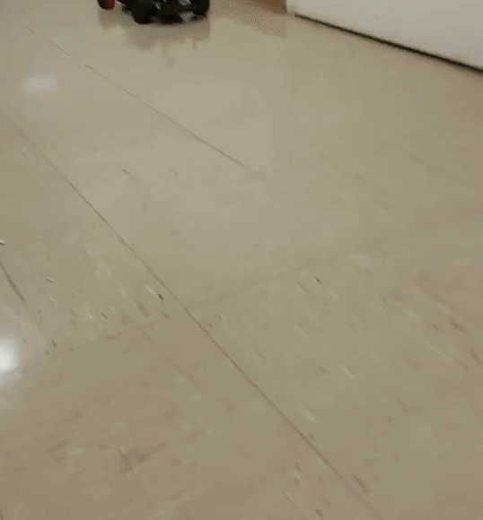 Autonomous Racing Car Dynamic and Control Design 