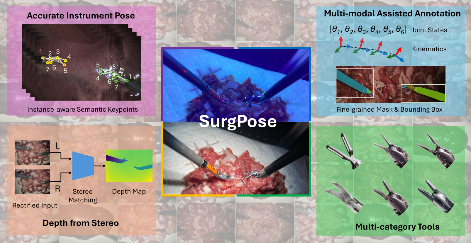 SurgPose: a Dataset for Articulated Robotic Surgical Tool Pose Estimation and Tracking